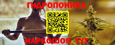 шишки Среднеуральск
