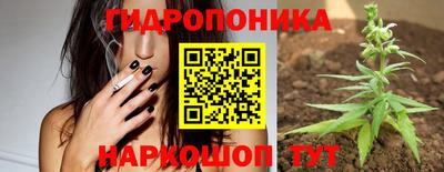 шишки Среднеуральск
