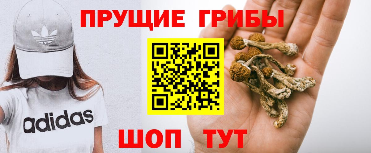 Волгодонск  Псилоцибиновые грибы MAGIC MUSHROOMS  Галлюциногенные грибы мицелий  Вход с VPN 